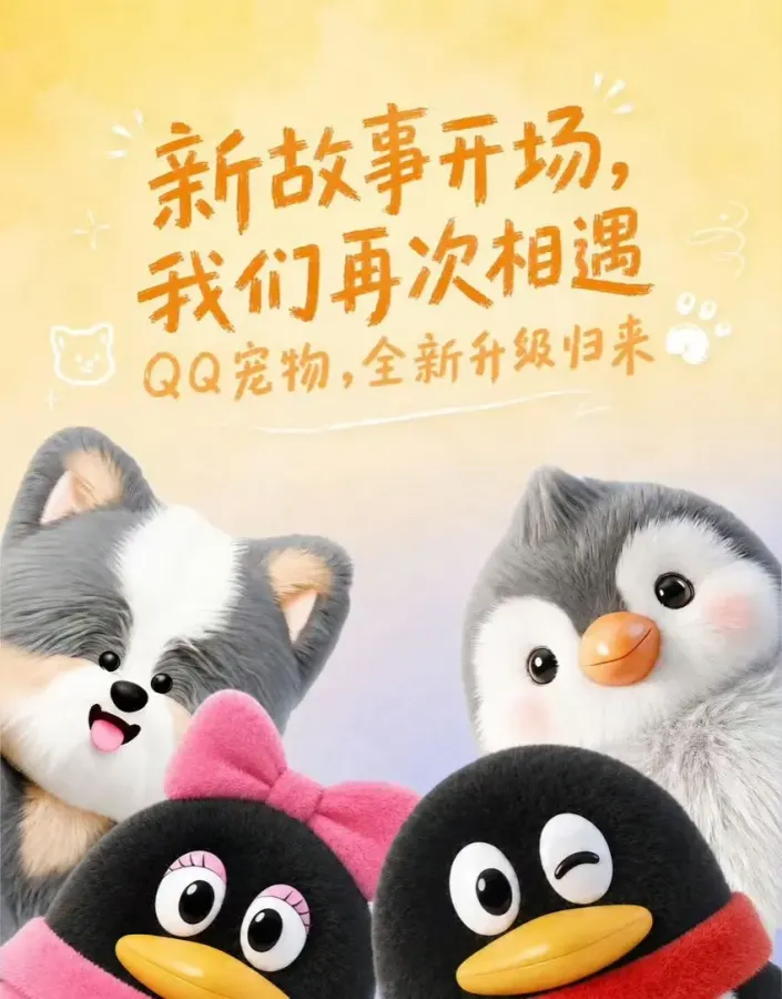scaled_1000137465.webp