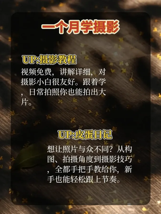 scaled_1000146823.webp