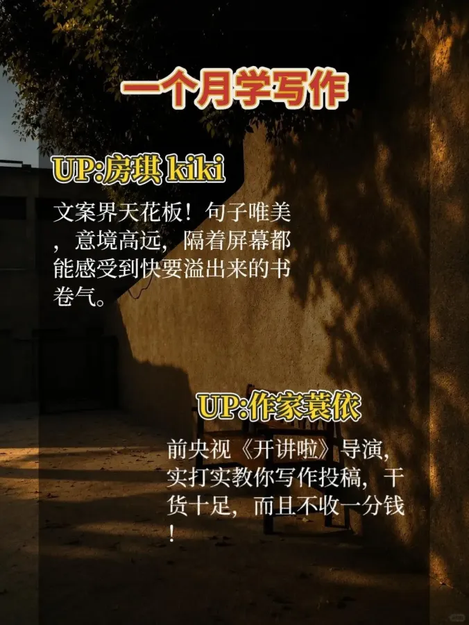 scaled_1000146824.webp