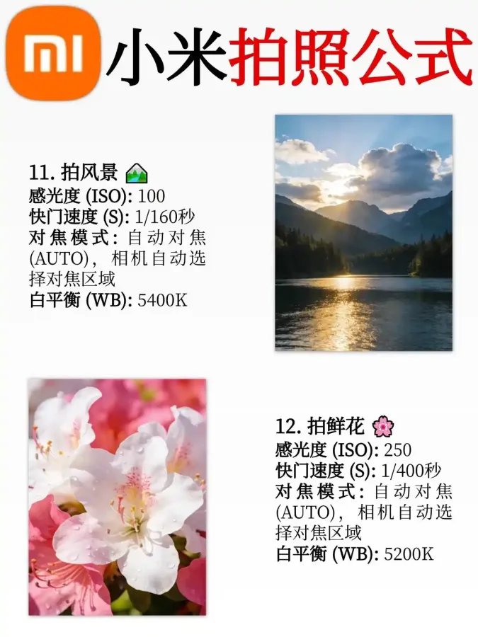 scaled_1000147672.webp
