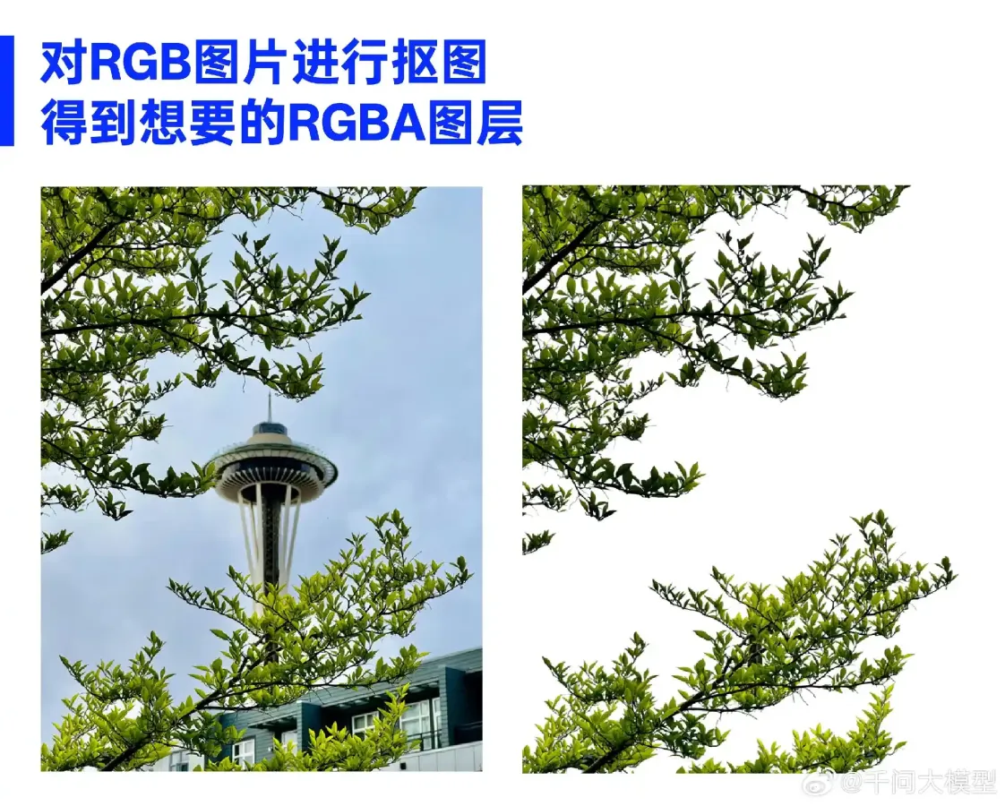 scaled_1000155816.webp